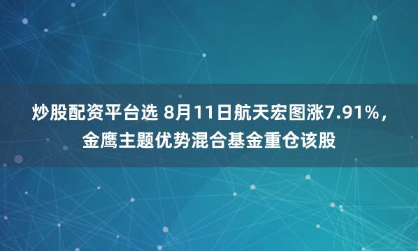 炒股配资平台选 8月11日航天宏图涨7.91%，金鹰主题优势混合基金重仓该股