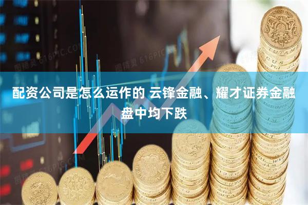 配资公司是怎么运作的 云锋金融、耀才证券金融盘中均下跌
