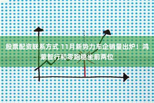 股票配资联系方式 11月新势力车企销量出炉！鸿蒙智行和零跑稳坐前两位