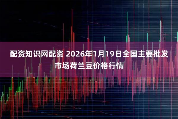 配资知识网配资 2026年1月19日全国主要批发市场荷兰豆价格行情