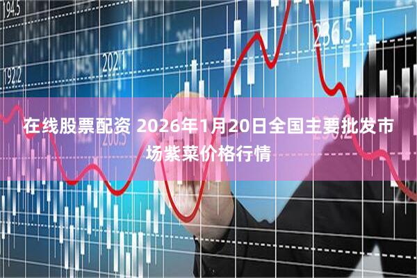 在线股票配资 2026年1月20日全国主要批发市场紫菜价格行情